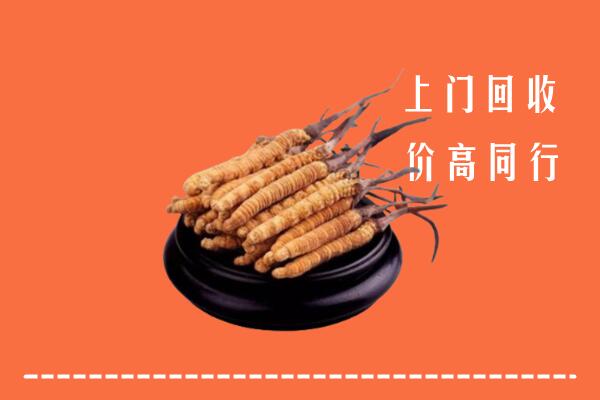 高价求购：新津区回收散虫草