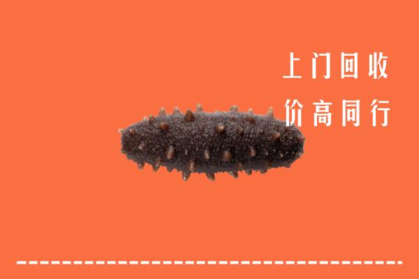 高价求购：新津区回收海参
