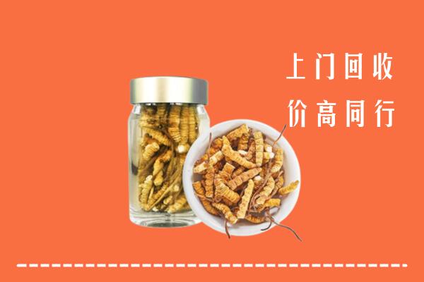 收购行情：新津区回收冬虫夏草