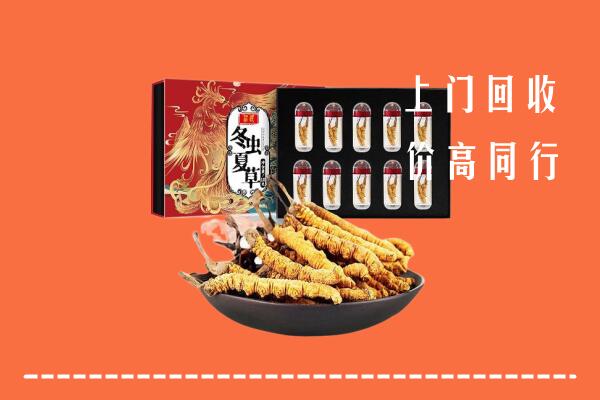 收购行情：新津区回收虫草
